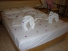 alanja-hotel-titan-garden20