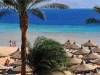 baron-palm-resort-sarm-el-seik-10