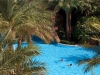 baron-palm-resort-sarm-el-seik-5