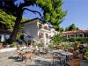 delphi-resort-skopelos-neo-klima-18