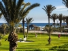 delfino-beach-and-spa-resort-tunis-hamamet-5