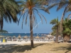 majorka-hotel-globales-playa-santa-ponsa-28