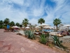 hotel-amphoras-blu-ex-shores-aloha-sarm-el-seik-21