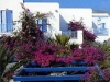 paros-hoteli-astir-of-paros-15