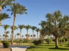 hotel-coral-sea-waterworld-sarm-el-seik-nabq-bay-33