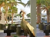 hotel-grecotel-creta-palace-krit-retimno-12