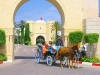 hotel-mahdia-palace-thalasso-tunis-12