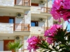 39584_app0c562568853ba85_halkidiki_hotel_medousa_exterior_hotel_flori