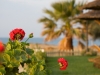 naxos-hoteli-plaza-beach-6