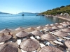 hotel-salmakis-beach-resort-spa-bodrum-gumbet-19