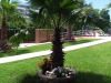 platamon-hotel-sun-beach-11