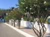 hotel-zefiros-beach-samos-mikali-12