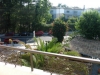 palma-beach-hotel-dassia-15