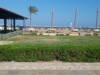 movenpick-resort-18