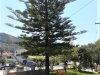 parga_garden_house-6