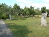 pefkohori-panorama-apartmani-17