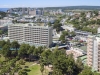 hotel-sol-palmanova-mirlos-tordos-majorka-palma-nova-7_0