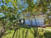 stavros_anastasia_2024-12
