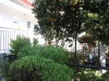 vila-kostas-5