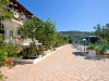 parga_olive_tree-13