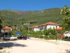 parga_olive_tree-3