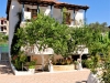 parga_olive_tree-5