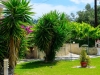 vila_paradise_nea_skioni_letovanje_atlantic_travel_184