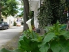 vila_xenios_pilion_letovanje_grcka_atlantic_travel_7