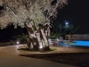 vila_zefiros_resort-16