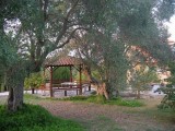 Vila Vergina, Pefkohori