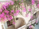 Lefteris Apartments, Santorini-Kamari