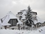 Apartmansko naselje Dvori, Kopaonik