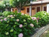 Vila Alexandra, Krf - Dasia
