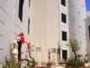 bodrum-hoteli-aegean-dream-resort-30