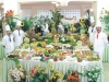 alanja-hotel-mahberi-beach26