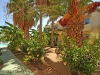 kos-apartmani-apartmani-boheme-28