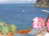 skopelos-apartmani-kastro-17
