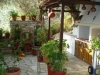 skopelos-apartmani-kastro-37