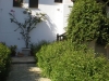 skopelos-apartmani-nikolaos-9