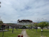 green-garden-5