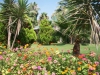 alanja-hotel-holiday-garden-resort-hotel-24