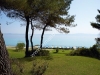 halkidiki-kalitea-kasandra-29