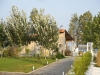 tasos-skala-prinos-hotel-alea-23