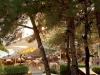 tasos-potos-hotel-alexandra-beach-45
