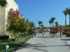 hurgada-hotel-desert-rose-28
