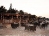 krit-hotel-eri-beach-village-1-3