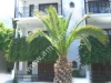 tasos-hotel-esperides-4