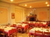 paralia-gold-stern-23