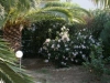 krit-hoteli-gorgona-15