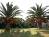 krit-hoteli-gorgona-4